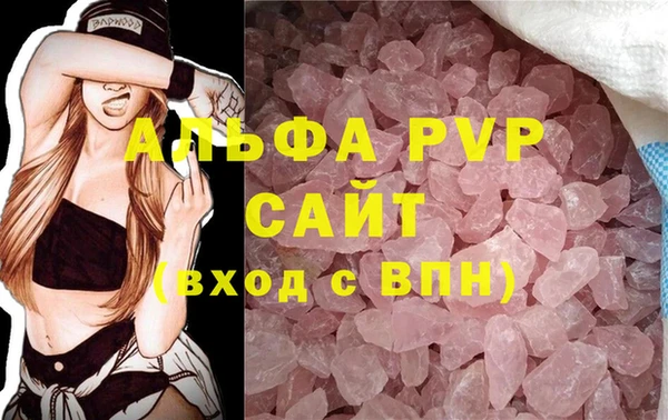 стаф Арсеньев