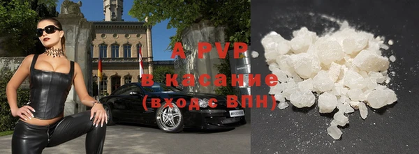 стаф Арсеньев