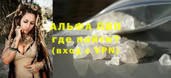 стаф Арсеньев